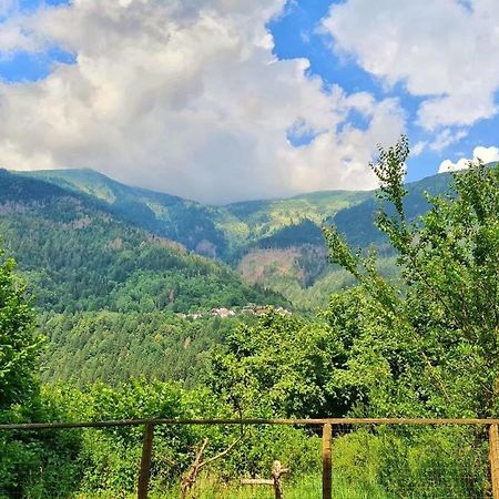 Appartamento Jever House Rigolato Dış mekan fotoğraf