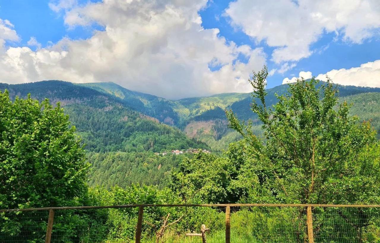 Appartamento Jever House Rigolato Dış mekan fotoğraf