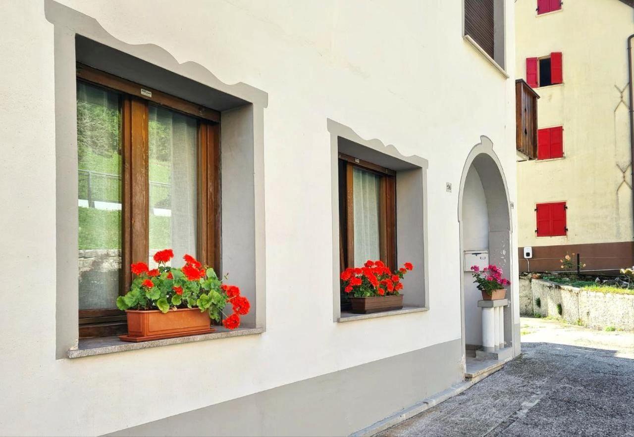 Appartamento Jever House Rigolato Dış mekan fotoğraf